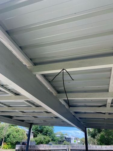 25227B2F-CC1C-4DAF-8936-610C4FFE4E00.jpeg 25227B2F-CC1C-4DAF-8936-610C4FFE4E00.jpeg