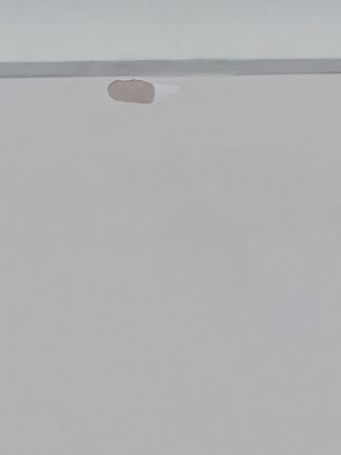 IMG_3521.jpeg IMG_3521.jpeg