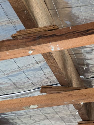 1000004312.jpg 1000004312.jpg