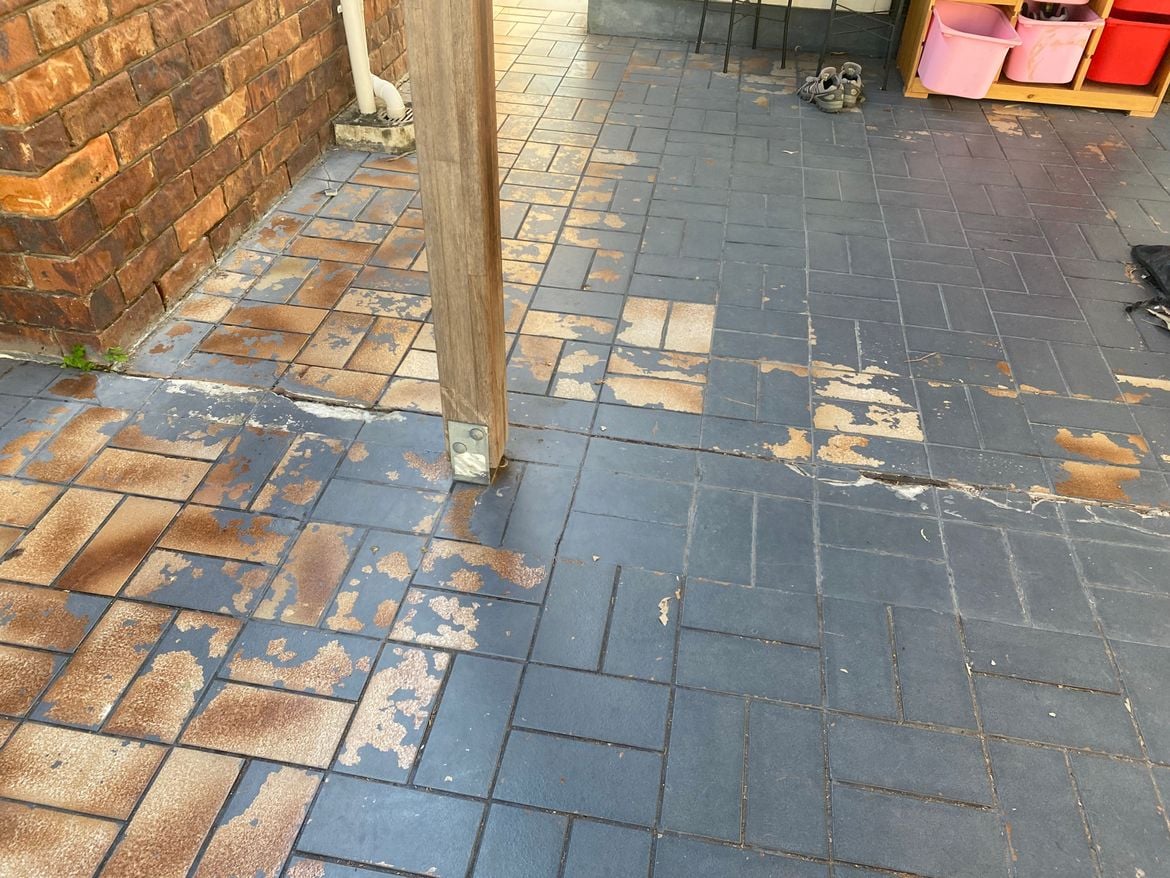 IMG_5929.jpg IMG_5929.jpg