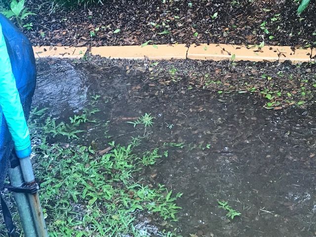 IMG_7134.jpg IMG_7134.jpg