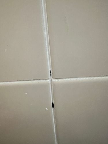 IMG_1673.jpeg IMG_1673.jpeg