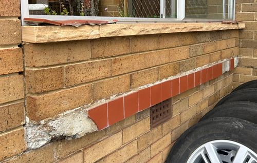 IMG_2374.jpeg IMG_2374.jpeg