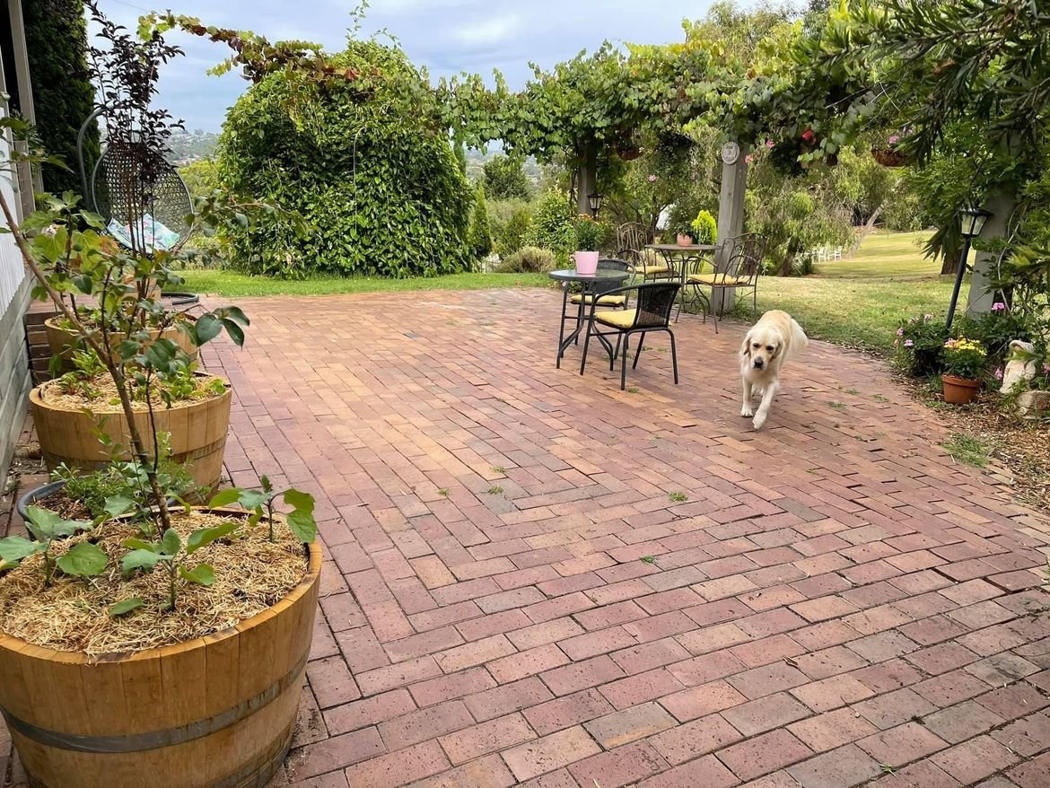 F3D385E2-BBD3-45F2-AE1E-BFBFE3767D9E.jpeg F3D385E2-BBD3-45F2-AE1E-BFBFE3767D9E.jpeg