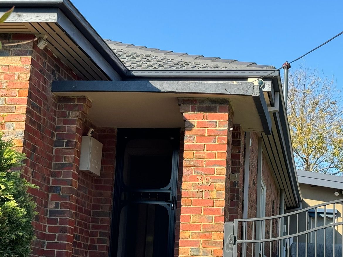 5E17E55E-181A-4C9F-AD94-B412ECEAABE4.jpeg 5E17E55E-181A-4C9F-AD94-B412ECEAABE4.jpeg