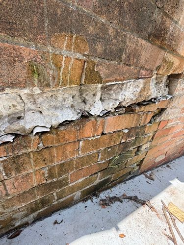 IMG_8306.jpeg IMG_8306.jpeg