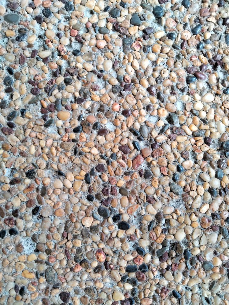 IMG20220131120010_BURST000_COVER.jpg IMG20220131120010_BURST000_COVER.jpg