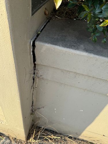 IMG_6506.jpeg IMG_6506.jpeg