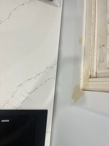 IMG_4396.jpeg IMG_4396.jpeg