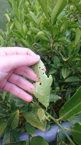 DSC_1874.JPG DSC_1874.JPG