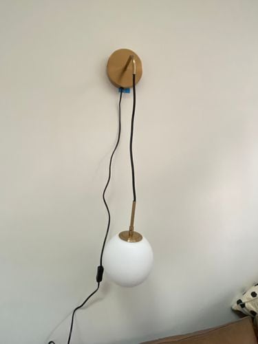 IMG_0194.jpeg IMG_0194.jpeg