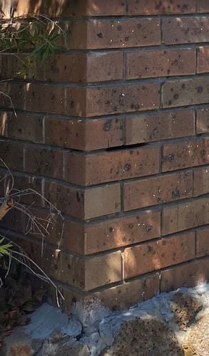 IMG_9366.jpeg IMG_9366.jpeg