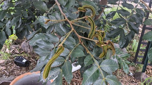 PXL_20220111_005959918.jpg PXL_20220111_005959918.jpg