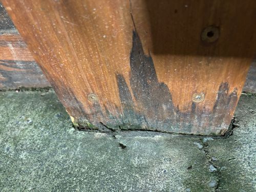 IMG_8188.jpeg IMG_8188.jpeg