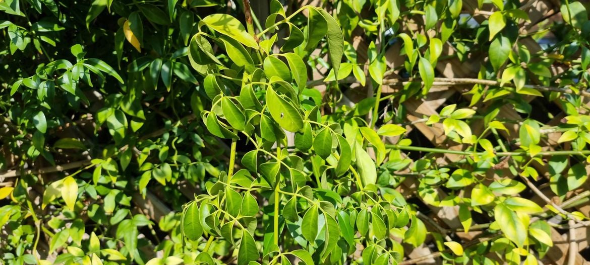 20241206_093202.jpg 20241206_093202.jpg