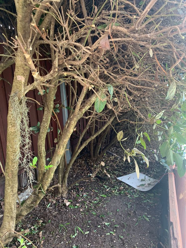 Image (1).jpeg Image (1).jpeg