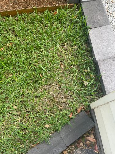 IMG_7938.jpeg IMG_7938.jpeg