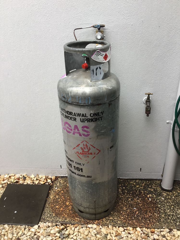 IMG_2100.jpeg IMG_2100.jpeg