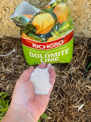 EC3A3346-0EE5-4A63-BC11-D1581310A18D.jpeg EC3A3346-0EE5-4A63-BC11-D1581310A18D.jpeg