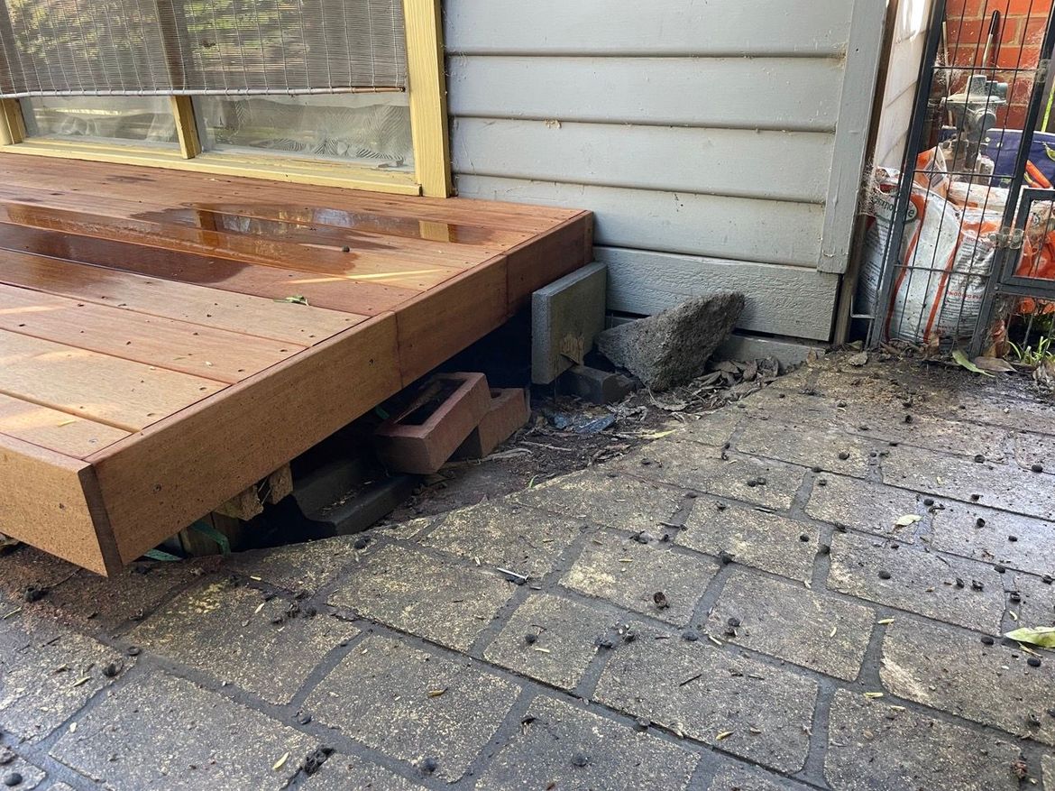 IMG_0330 Large.jpeg IMG_0330 Large.jpeg