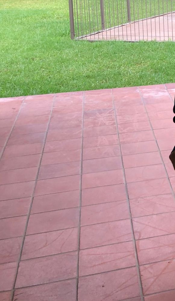 37C3B116-E99E-4CC8-B1D2-5FF16AAF7C0E.jpeg 37C3B116-E99E-4CC8-B1D2-5FF16AAF7C0E.jpeg