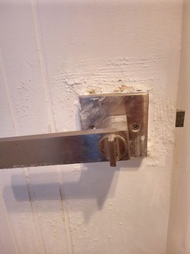 IMG_20220710_094633_3.jpg IMG_20220710_094633_3.jpg