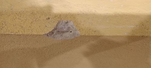 1000009504.jpg 1000009504.jpg