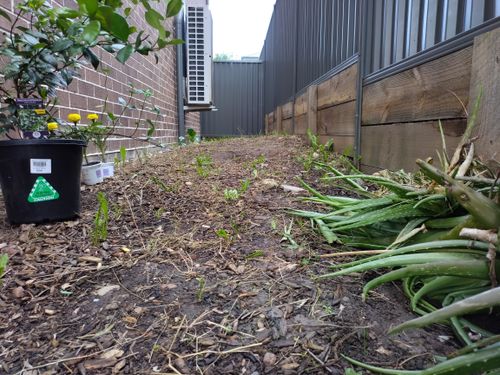 IMG_20240317_174725.jpg IMG_20240317_174725.jpg