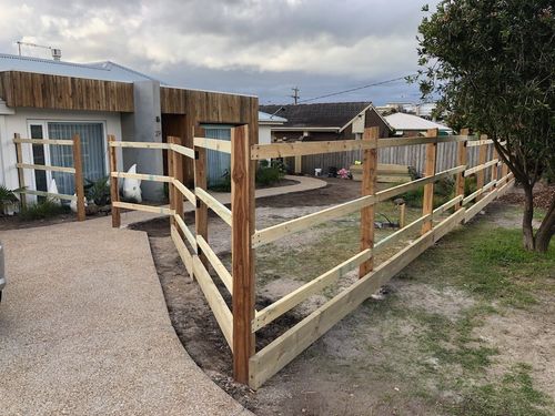 IMG_6294.jpeg IMG_6294.jpeg