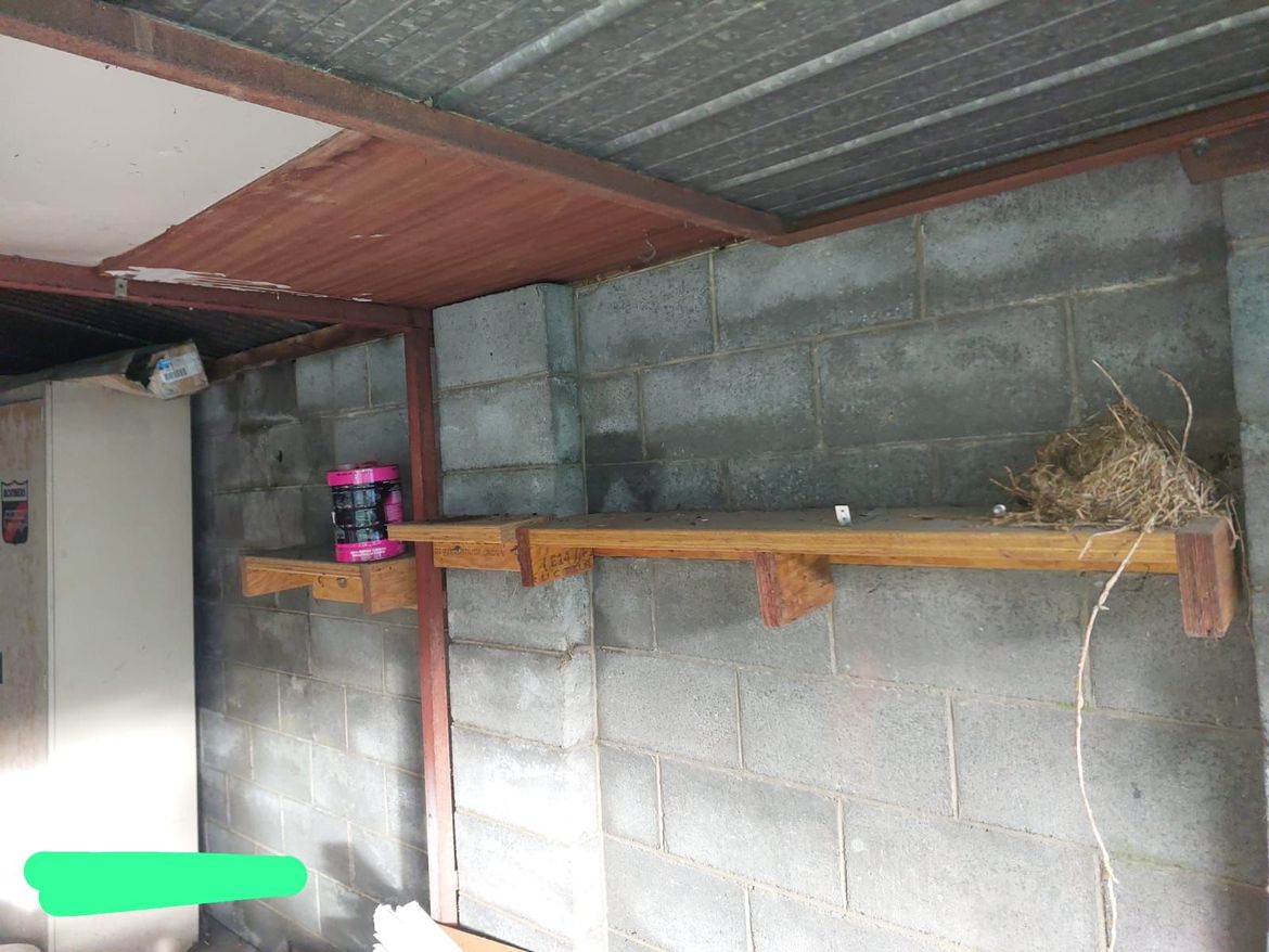 ebeb36b5-8de8-435c-9888-96bd5705d619.jpg ebeb36b5-8de8-435c-9888-96bd5705d619.jpg