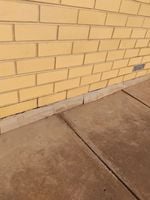 IMG_20250314_093300.jpg IMG_20250314_093300.jpg