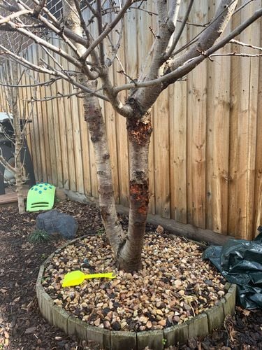 866F5969-3C14-4B3E-A2F4-A0DCD2DE14BE.jpeg 866F5969-3C14-4B3E-A2F4-A0DCD2DE14BE.jpeg