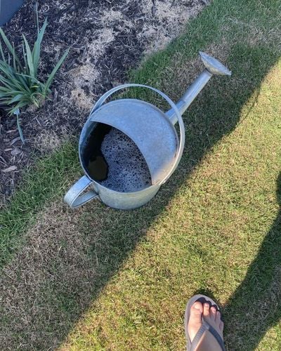 3018BD74-D32C-4861-8026-7E236576F0C3.jpeg 3018BD74-D32C-4861-8026-7E236576F0C3.jpeg