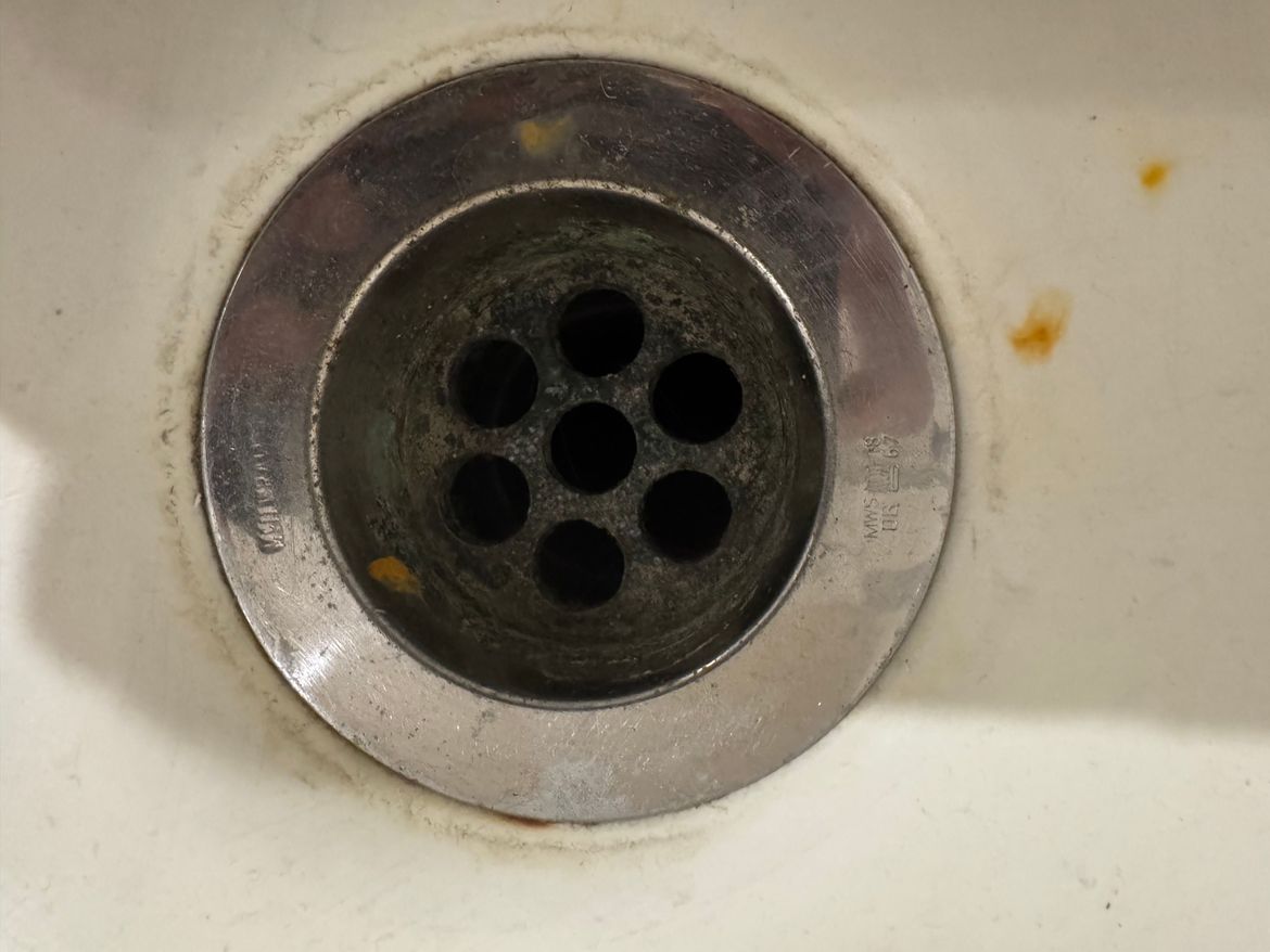 IMG_9578.jpeg IMG_9578.jpeg