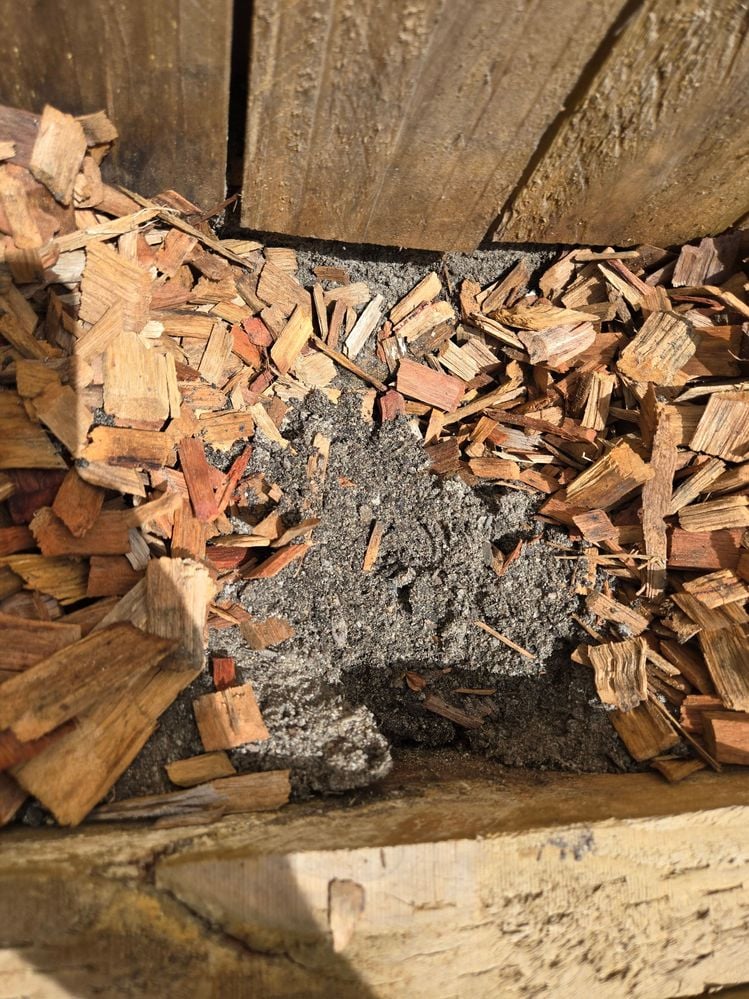 20241228_111556.jpg 20241228_111556.jpg