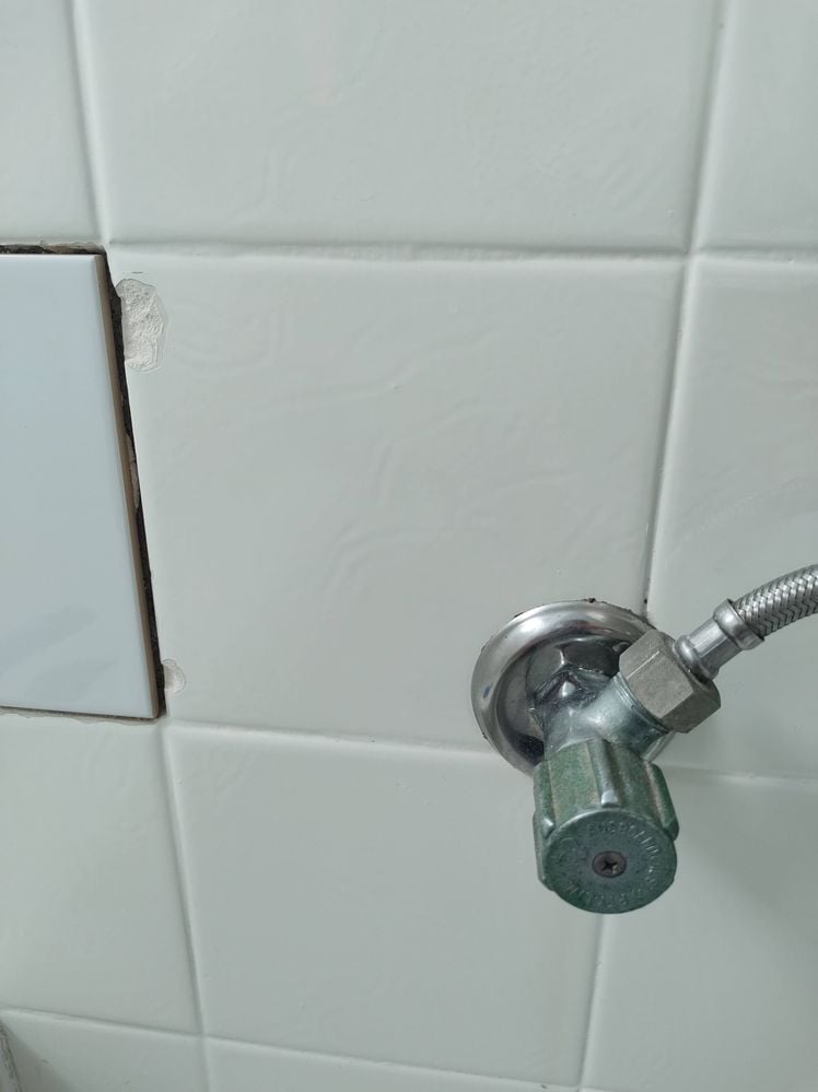 IMG_20240425_100647528.jpg IMG_20240425_100647528.jpg