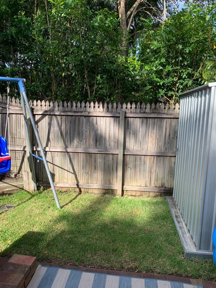 IMG_6154.jpeg IMG_6154.jpeg