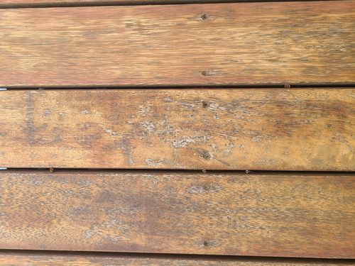 20260120_155212.jpg 20260120_155212.jpg