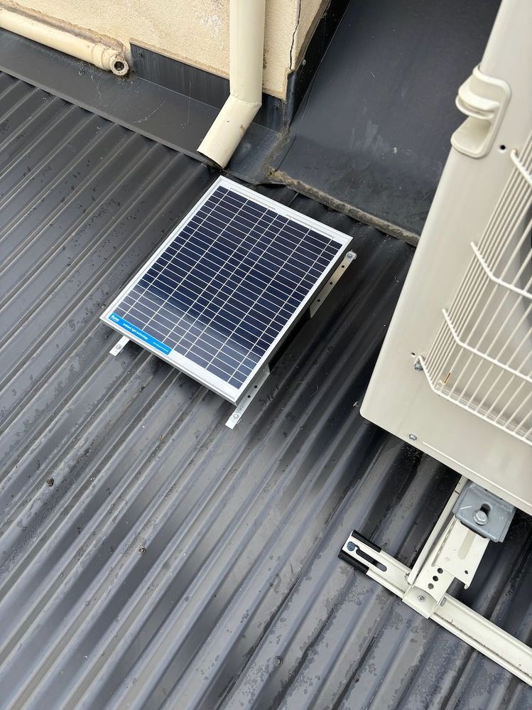 IMG_8260.jpeg IMG_8260.jpeg