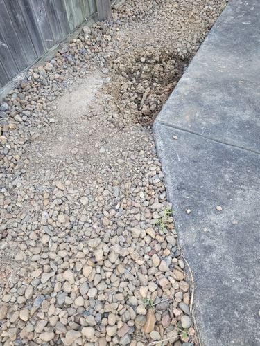 20250731_122447.jpg 20250731_122447.jpg