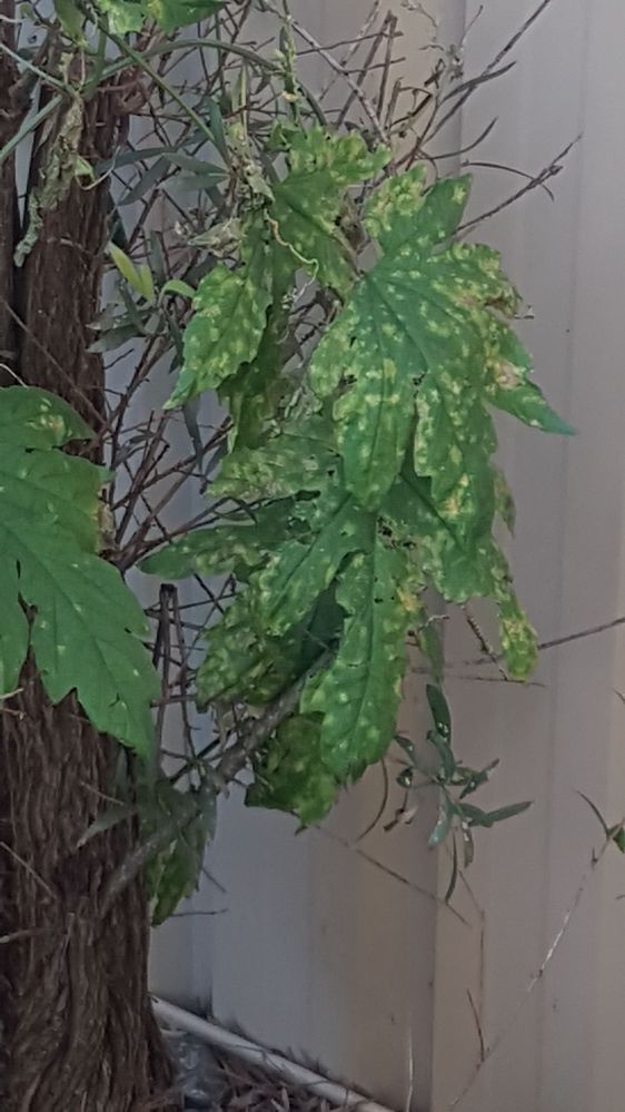 20220604_155433.jpg 20220604_155433.jpg