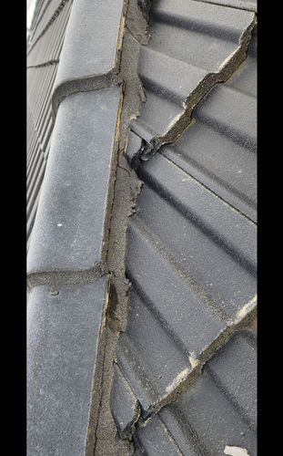 IMG_5154.jpeg IMG_5154.jpeg