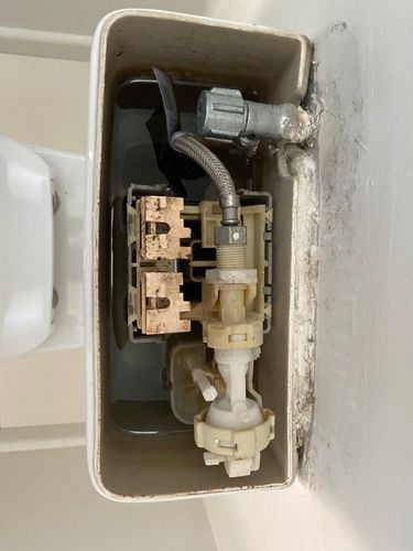 C56DF485-4A69-4360-A274-A562E865A491.jpeg C56DF485-4A69-4360-A274-A562E865A491.jpeg