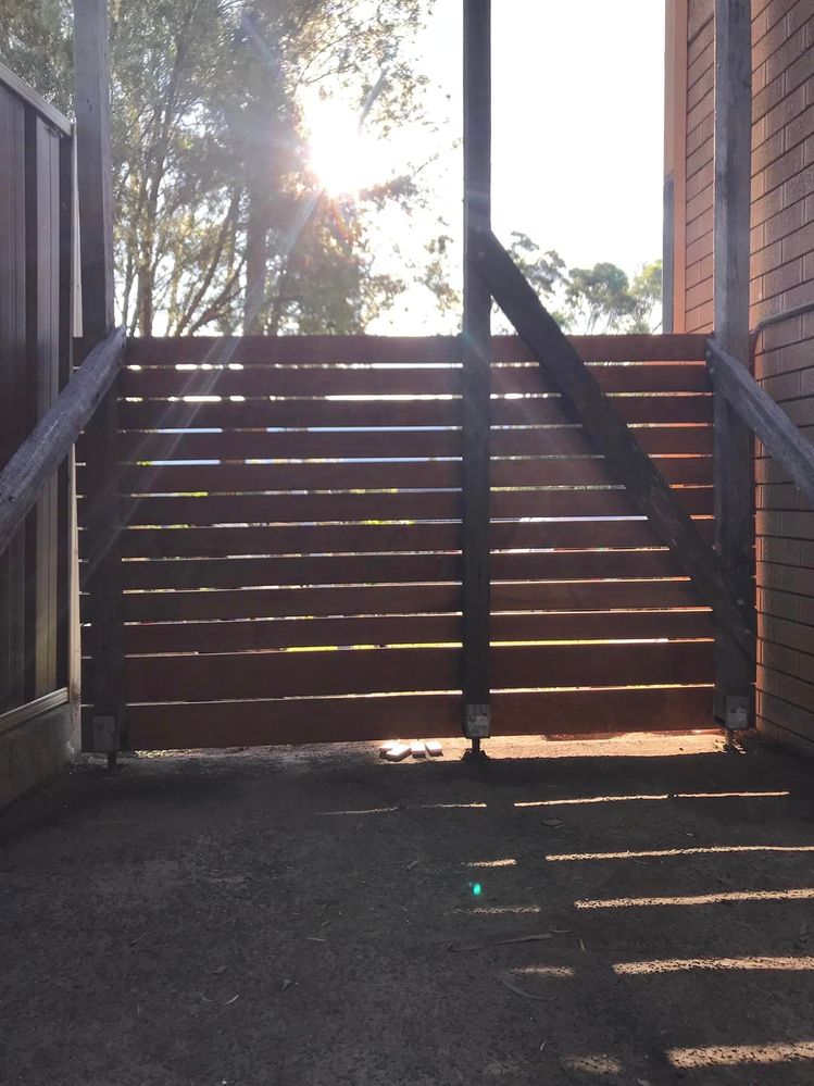 25 08-04-2023.jpg 25 08-04-2023.jpg