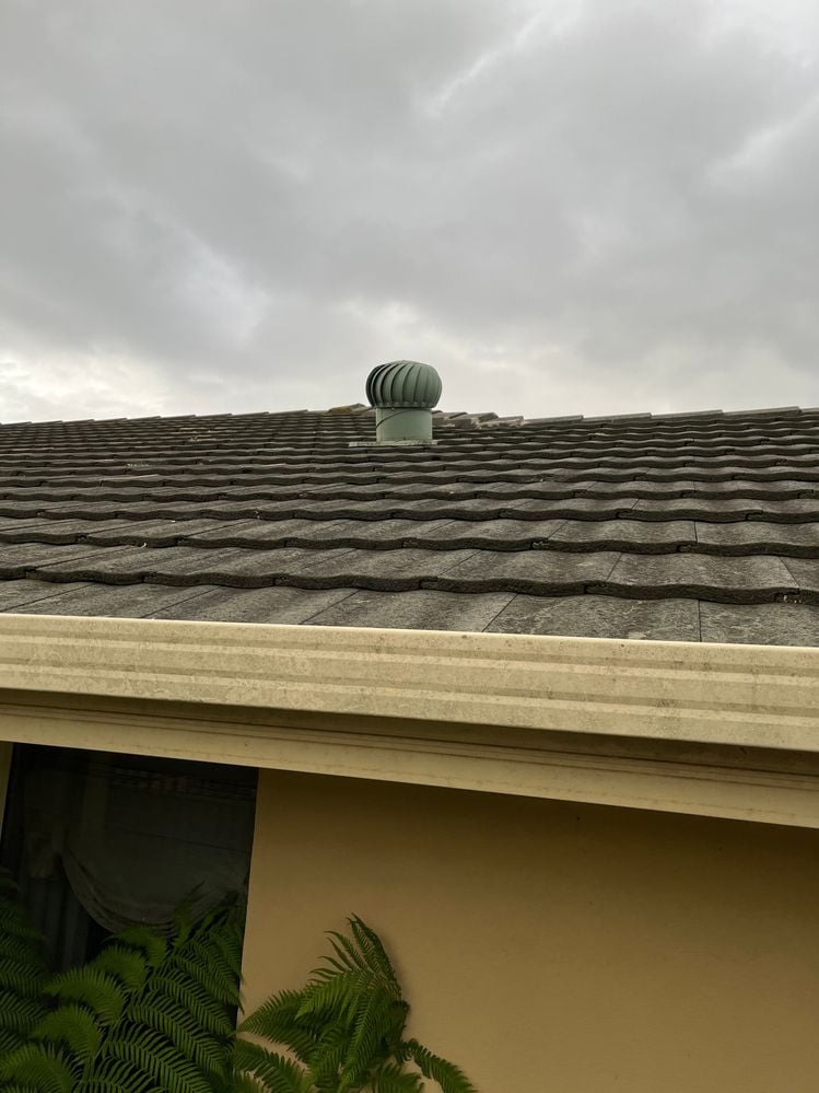 IMG_2145.JPG IMG_2145.JPG