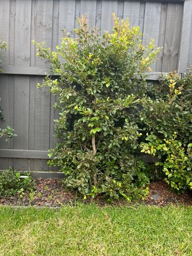 2F2A0D00-4078-413F-A2A9-7F18A32E2214.jpeg 2F2A0D00-4078-413F-A2A9-7F18A32E2214.jpeg