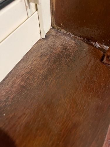 IMG_7472.jpeg IMG_7472.jpeg