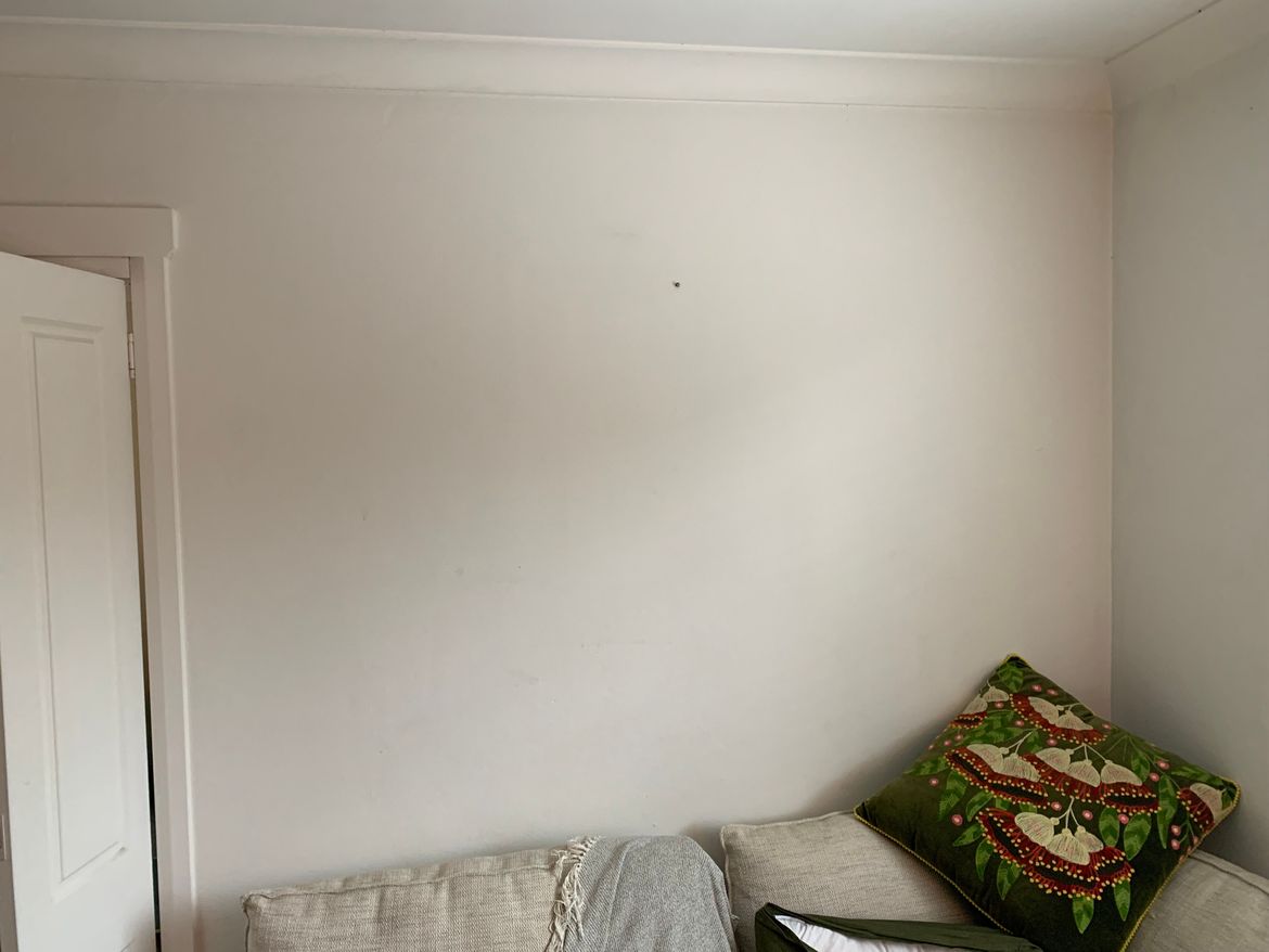 IMG_5065.jpeg IMG_5065.jpeg