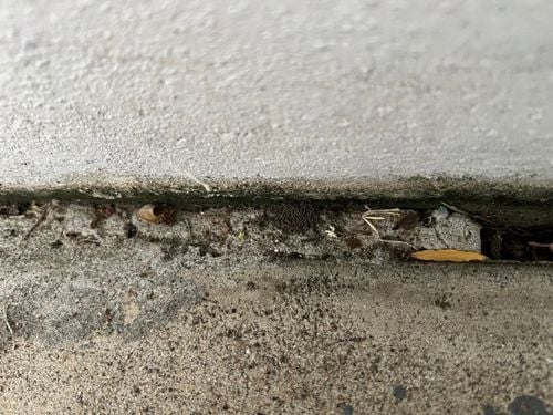 IMG_7408 Large2.jpg IMG_7408 Large2.jpg