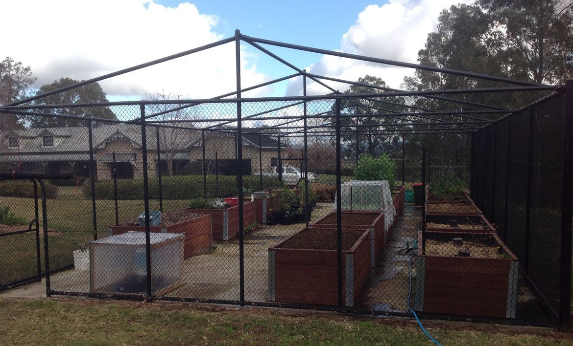 IMG__6603.JPG IMG__6603.JPG